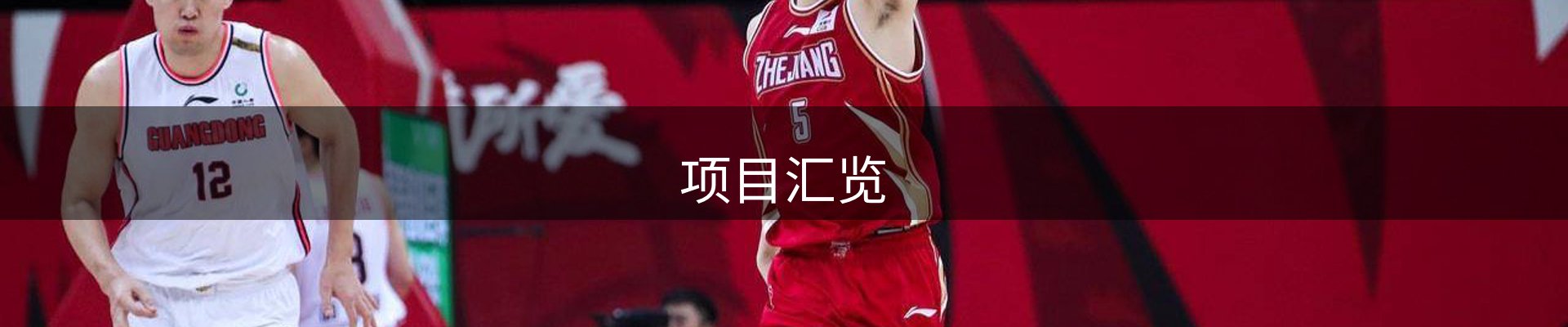 项目汇览